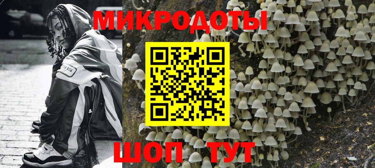 Галлюциногенные грибы мицелий Прохладный