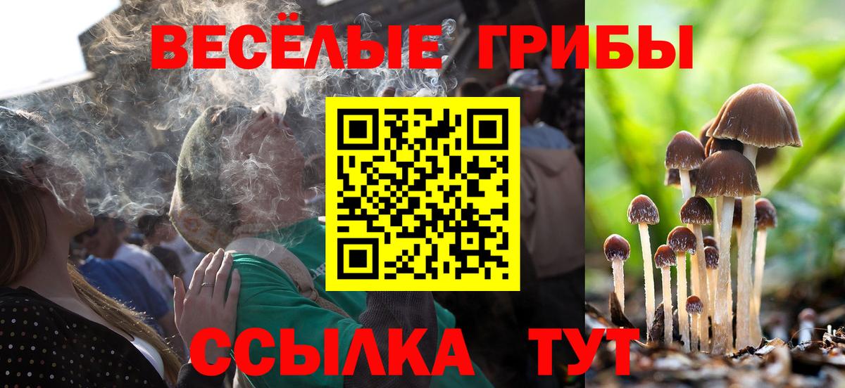 Псилоцибиновые грибы мухоморы  Вход с VPN  магазин продажи   Прохладный 